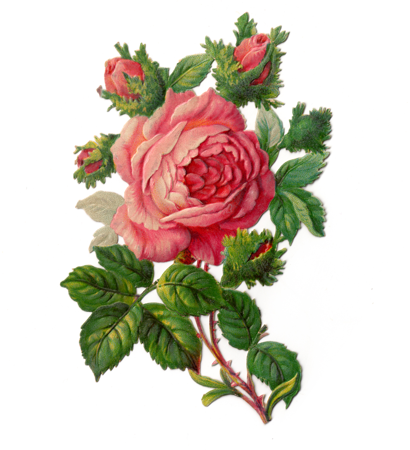 Vintage Rose Border Clip Art