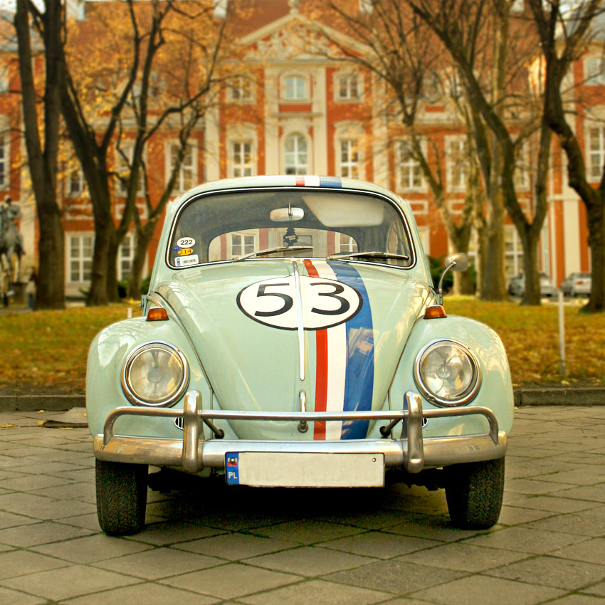 VW Beetle Photography
