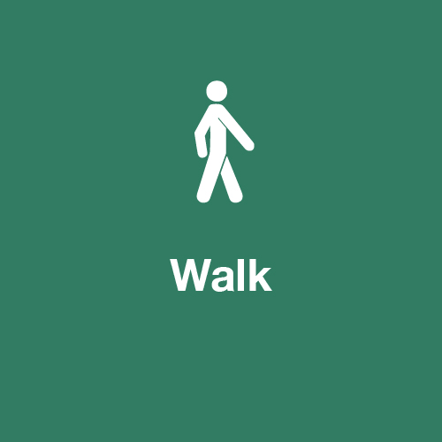 Walk Icon