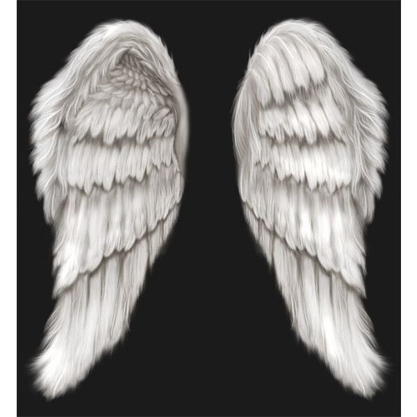 17 White Angel Wings PSD Images