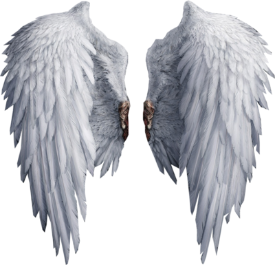 Angel Wings PSD