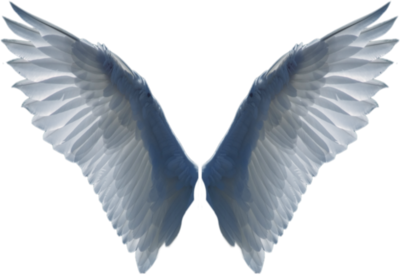 Angel Wings PSD