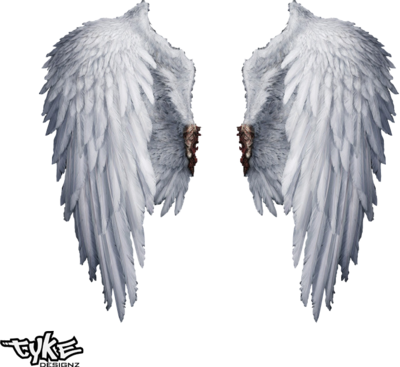 Angel Wings PSD