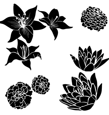 Black Floral Design Flower Vector