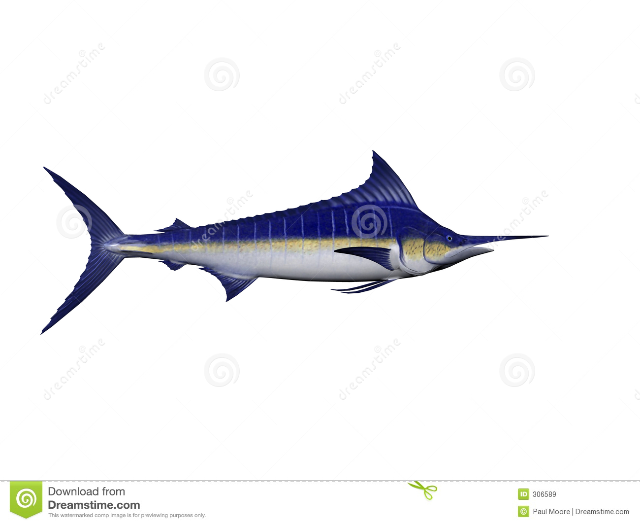 Blue Marlin Clip Art