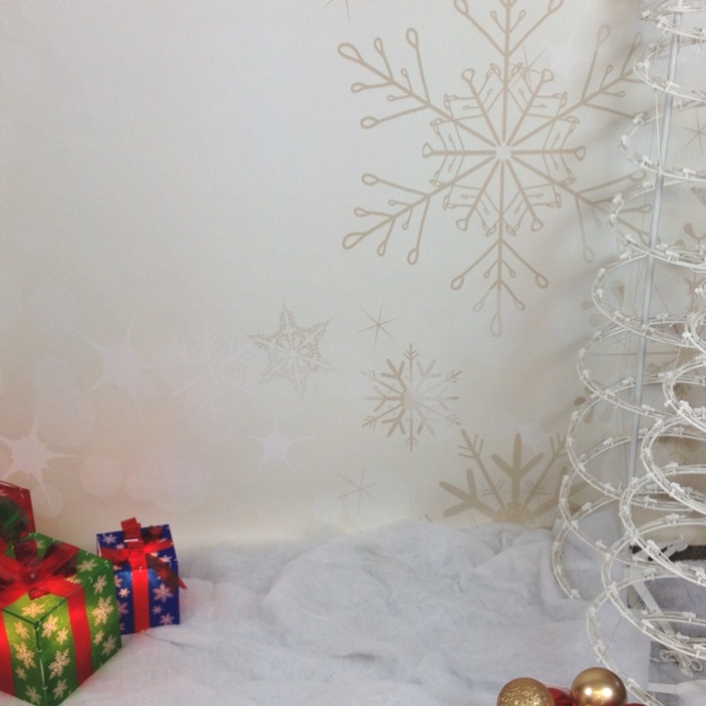 Christmas Photography Backdrops