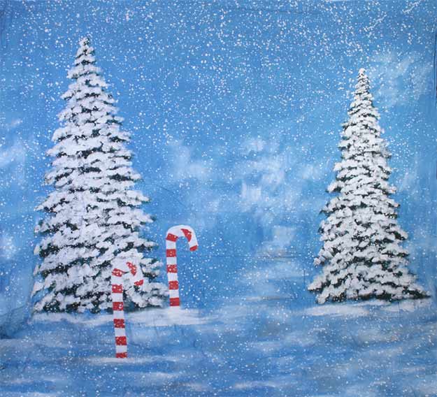 Christmas Photography Backdrops Christmas Photography Backdrops