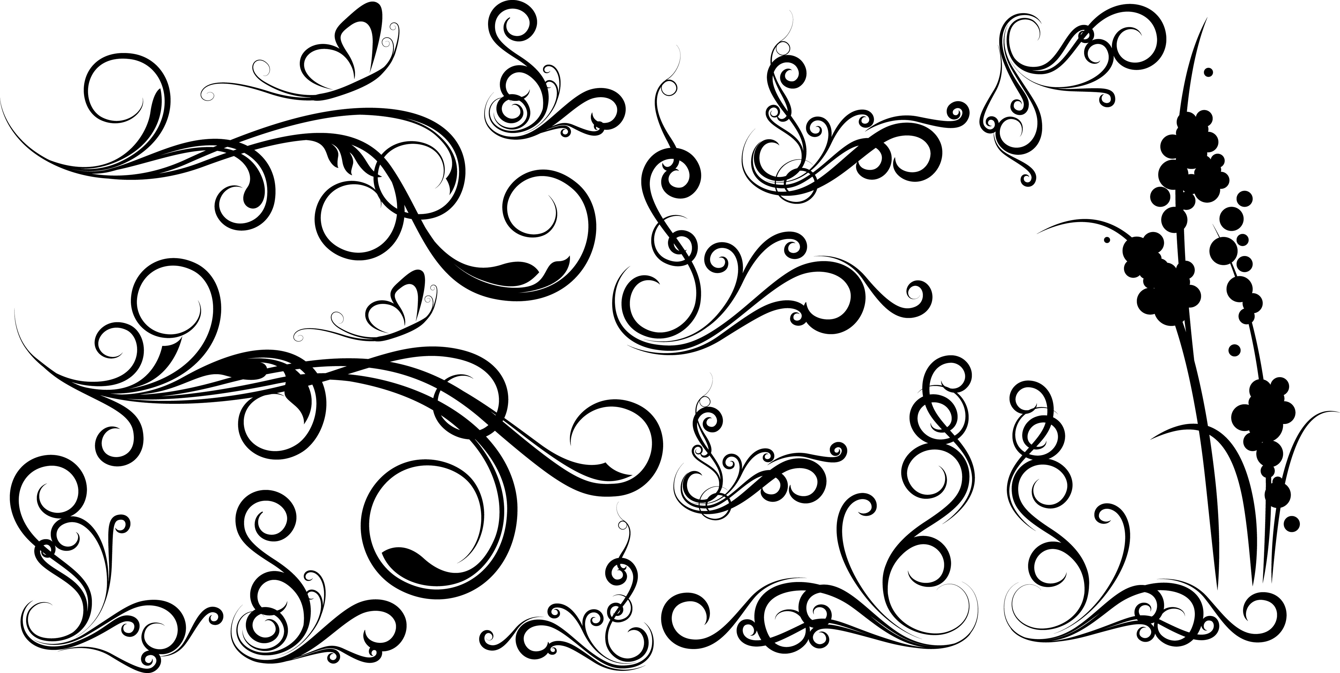 Elegant Swirl Designs Vector