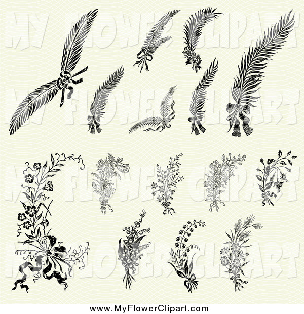 Feathers and Flowers Clip Art