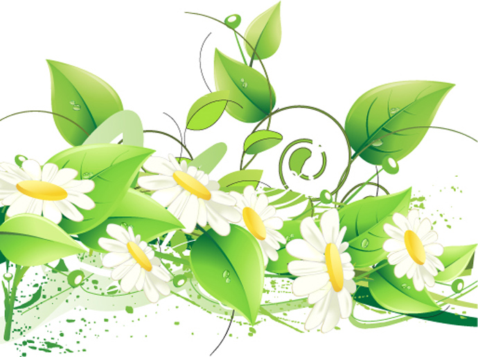 Floral Vector Free Download