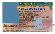 Florida State Drivers License Template