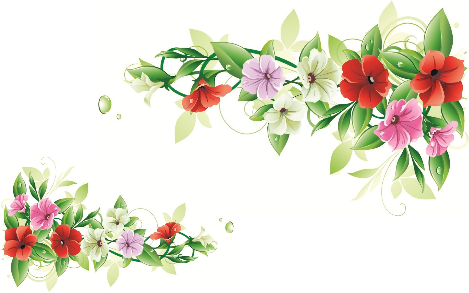 Flowers Frames Download