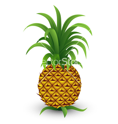Free Vector Pineapple