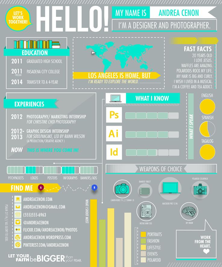 Graphic Designer Resume Infographic