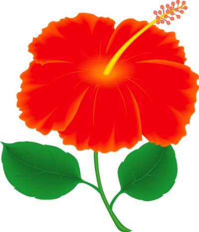 Hawaiian Flower Clip Art Free