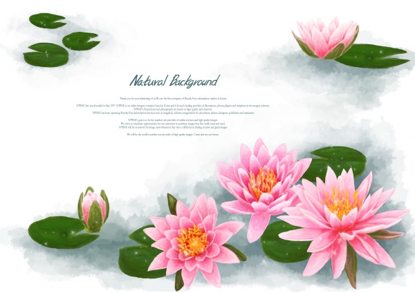 Lotus Flower Cartoon