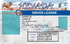 Nevada State Drivers License Template
