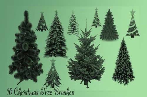 Pine Tree Photoshop Brush