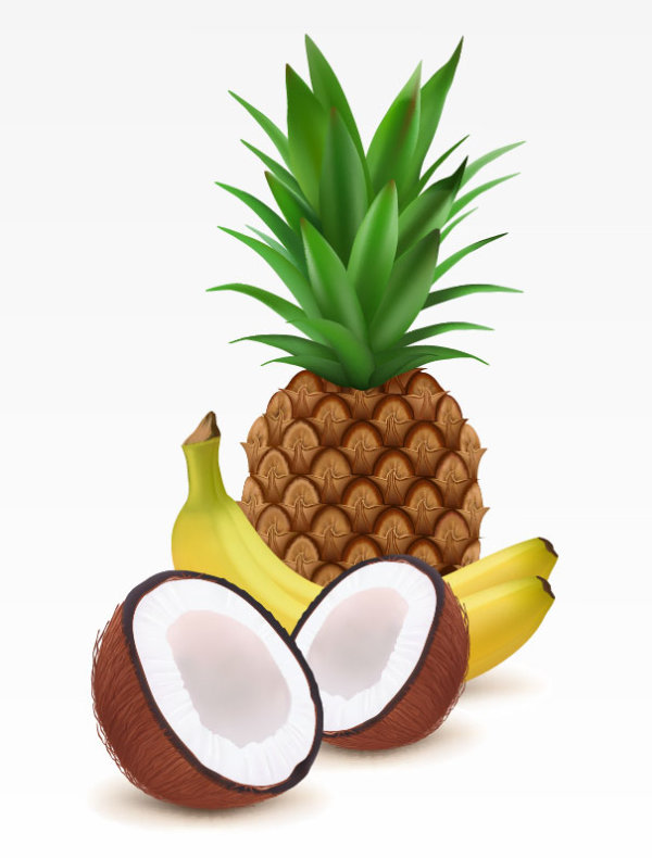 Pineapple and Coconut Cartoon