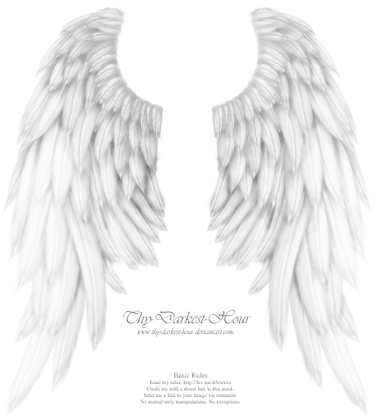 Realistic Angel Wings