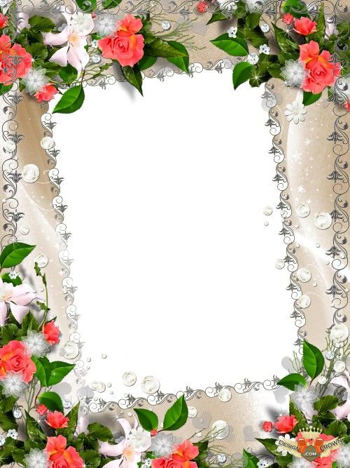 Red Rose Borders and Frames