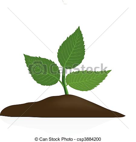 Soil Clip Art for Young Plants