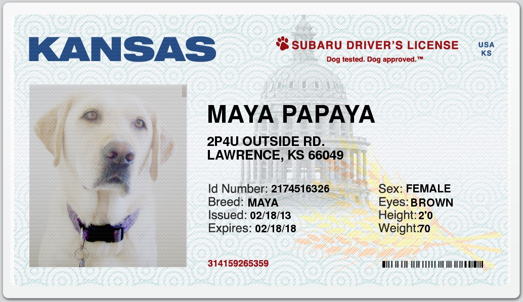 Subaru Dog Drivers License