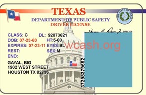 Free Nevada Drivers License Template