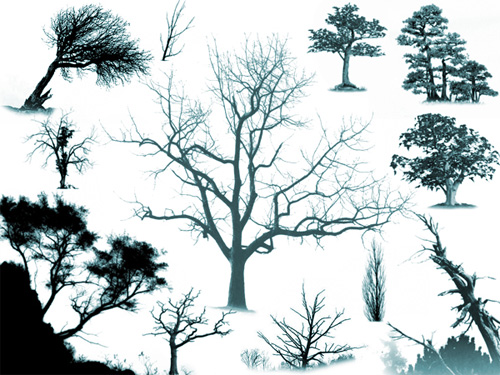 13 Photoshop Tree Brushes Images