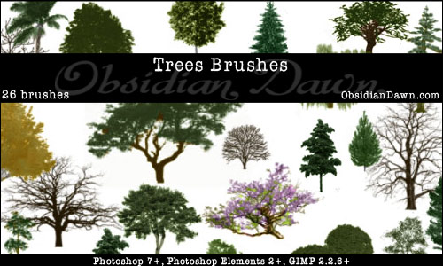 Tree Brush Photoshop