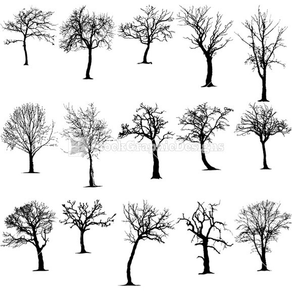 Tree Silhouette Vector