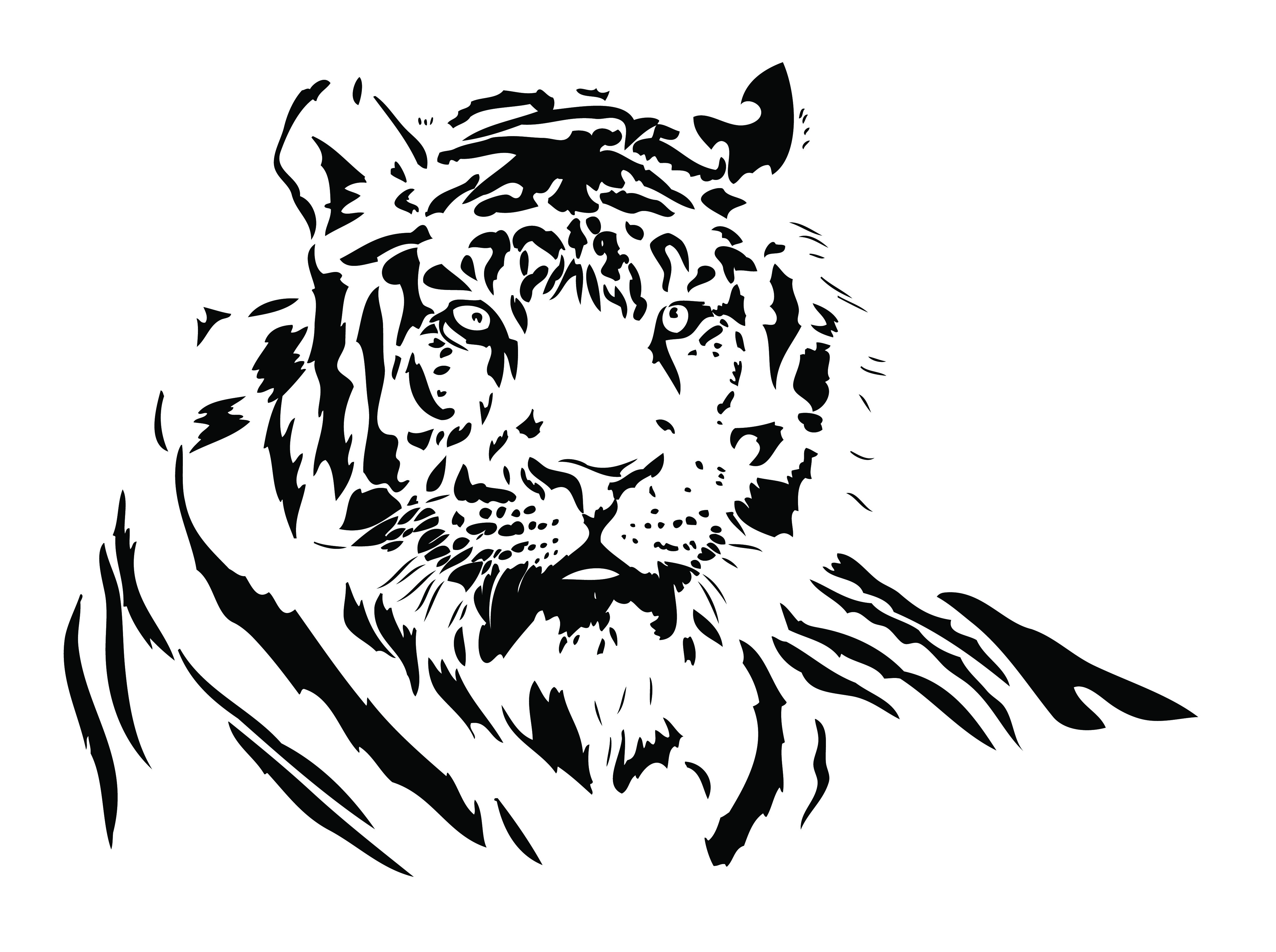 Vector Black and White Tiger