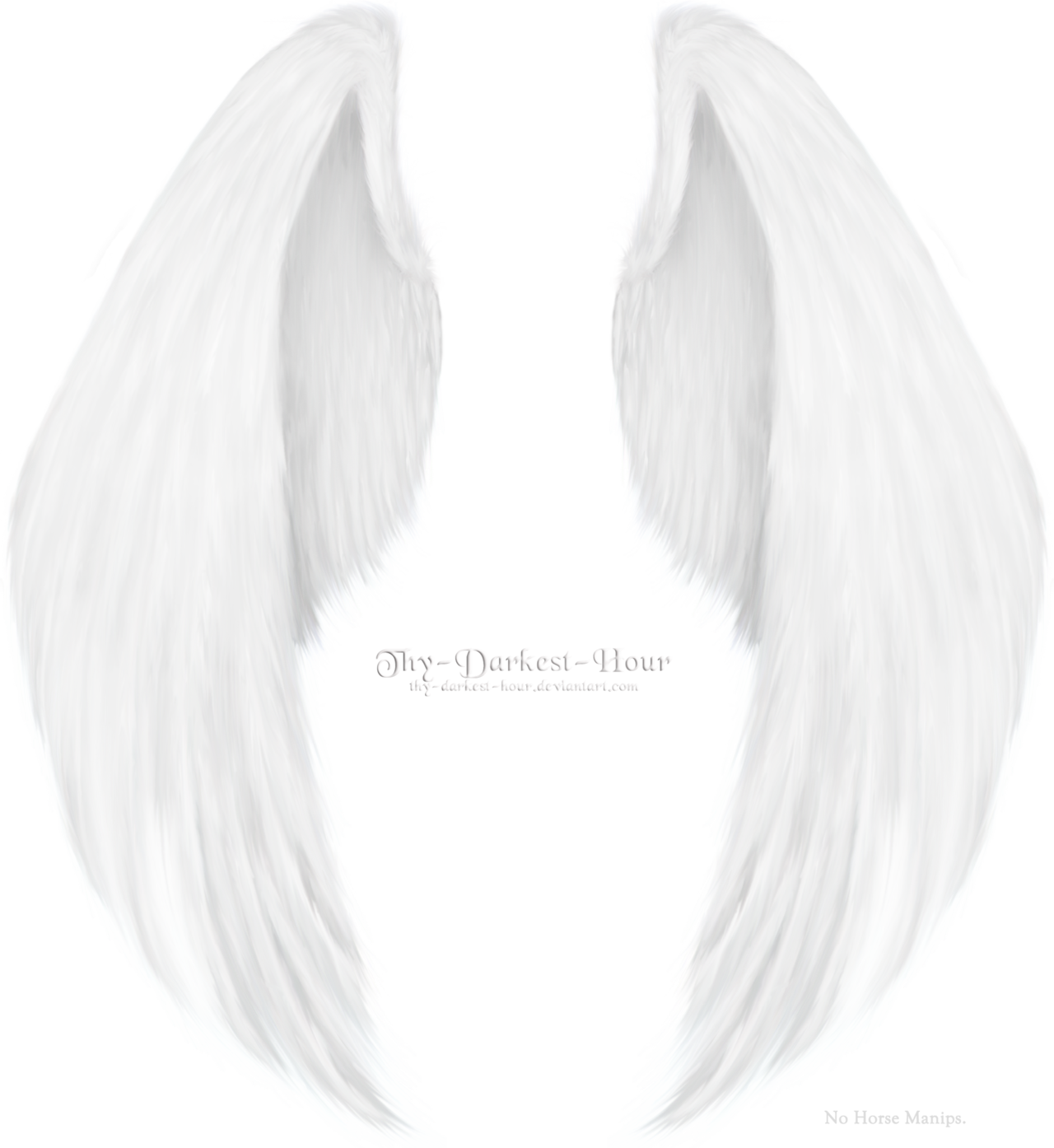 White Angel Wings Realistic