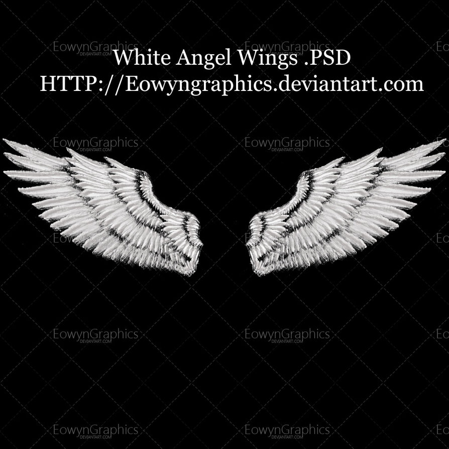 White Angel Wings