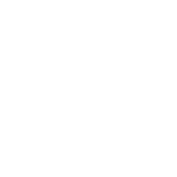 White Car Icon