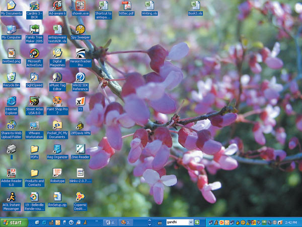 Windows XP Transparent Desktop Icons