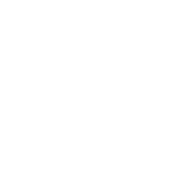 Wireless White Icon