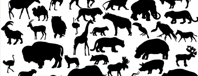 African Animal Silhouettes Vector Images Free
