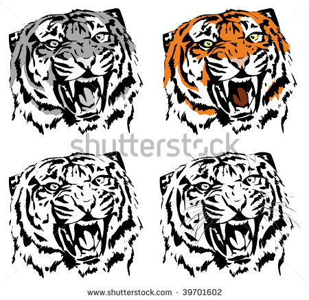 Angry Bengal Tiger