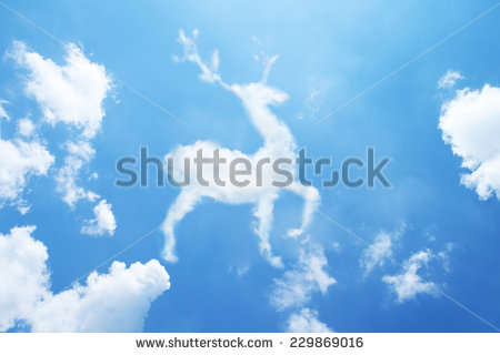 Animal Shaped Clouds