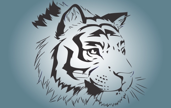 12 White Bengal Tiger Vector Images