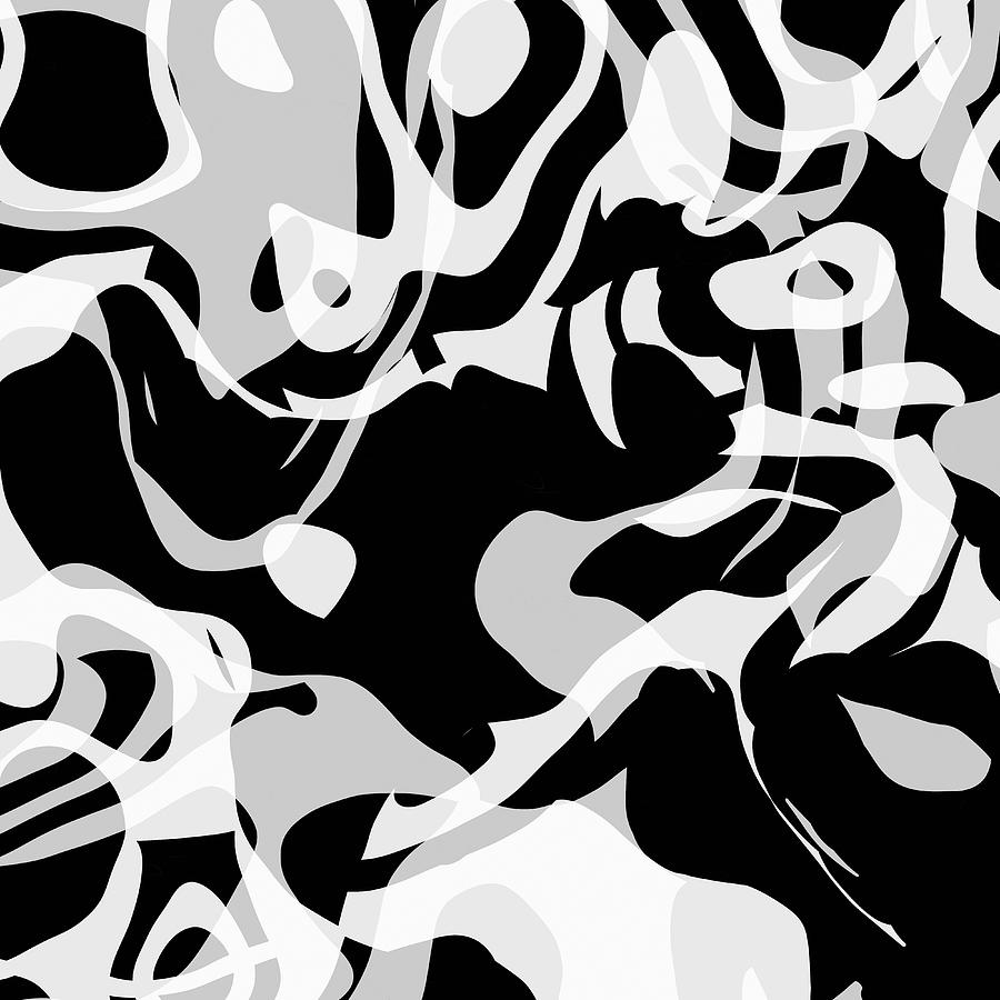 Black and White Abstract Art