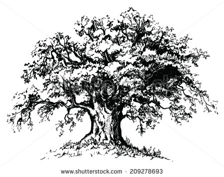 Black and White Oak Tree Silhouette