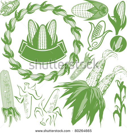 Corn Stalk Clip Art Black and White