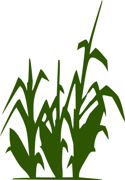 Corn Stalk Clip Art Silhouette