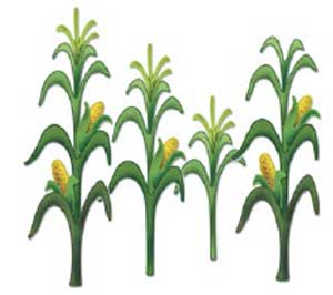 Corn Stalk Clip Art