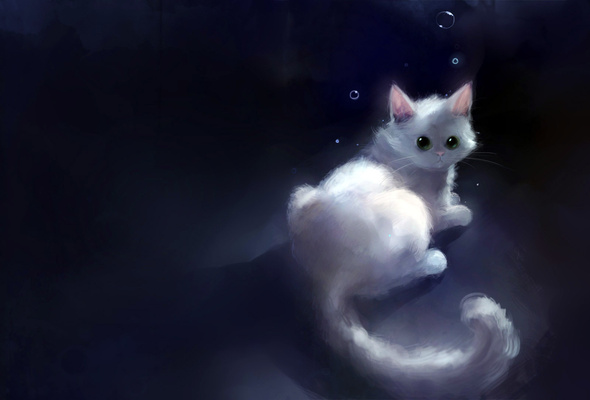 Cute Anime White Cat