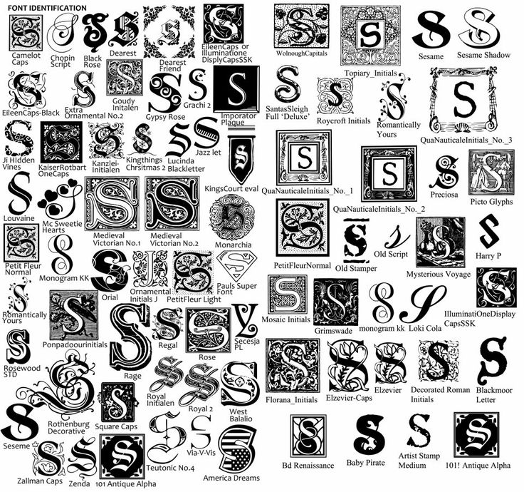 Decorative Split Letter Fonts
