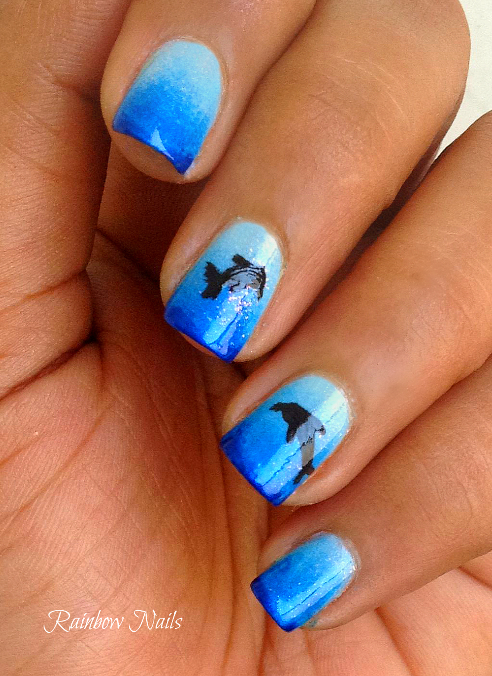 Dolphin Nail Designs