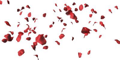 Falling Rose Petals Falling Rose Petals